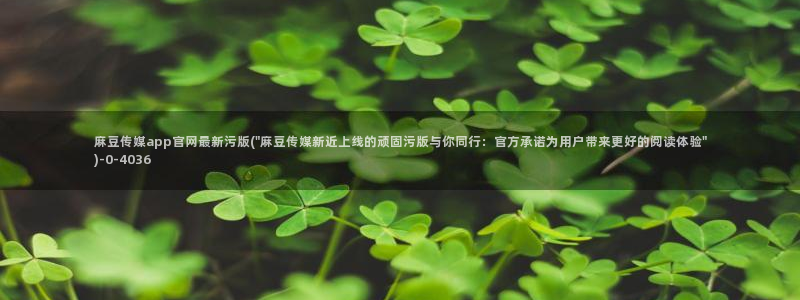 麻豆视频关于我们