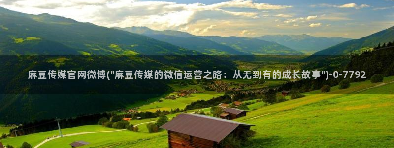 麻豆视频资讯文案