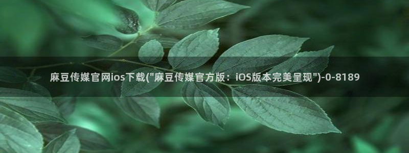 麻豆资讯描述