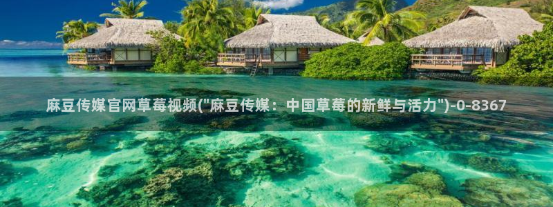 麻豆视频更新维护
