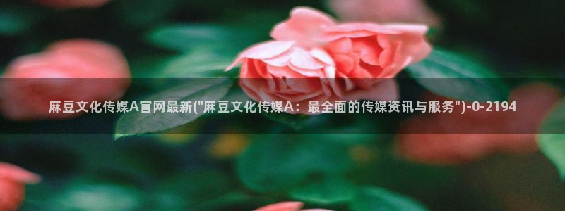 麻豆校园剧情