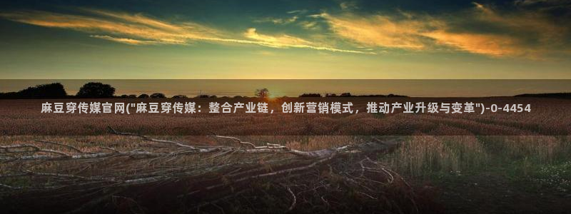 麻豆传媒视频