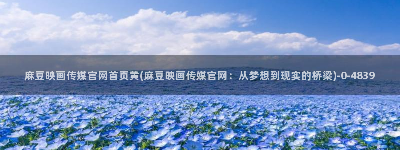 麻豆入门指南
