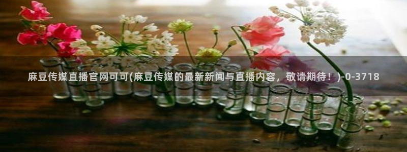 麻豆片单推荐