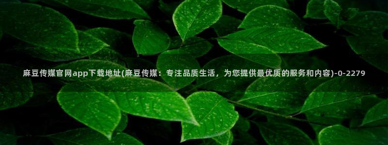 麻豆视频自动更新