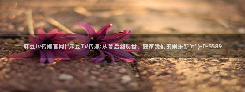 麻豆观看描述
