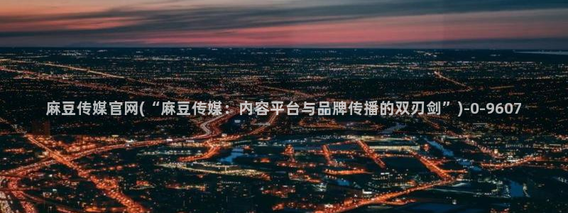 麻豆视频页面描述