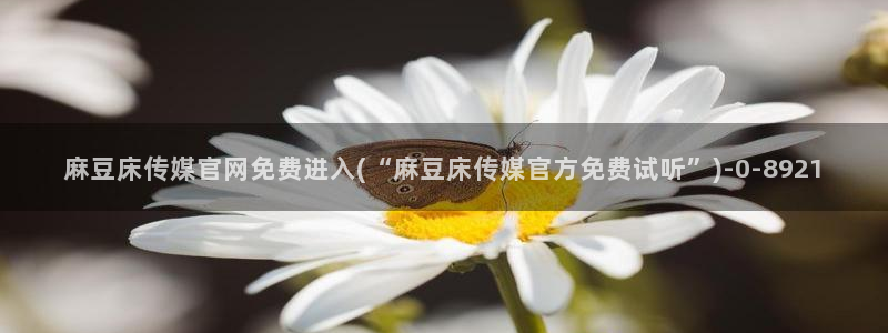 麻豆视频新片文案