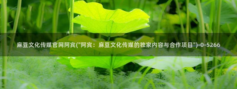 麻豆站点地图