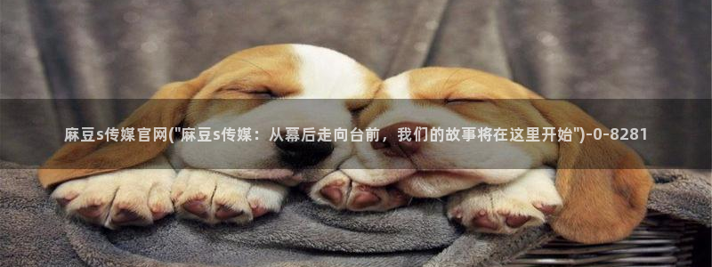 麻豆观看标题