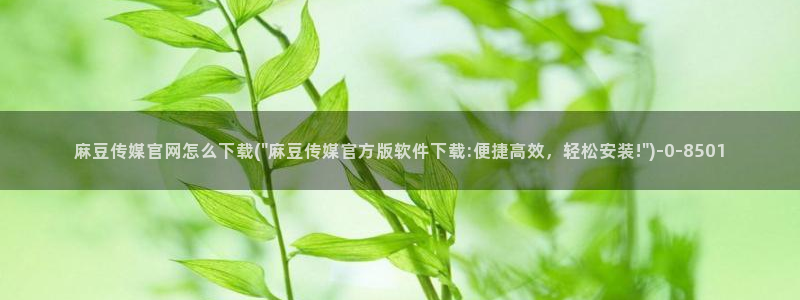 麻豆视频采集