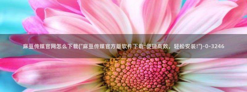麻豆视频自动更新