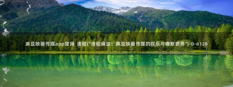 麻豆视频内容质量
