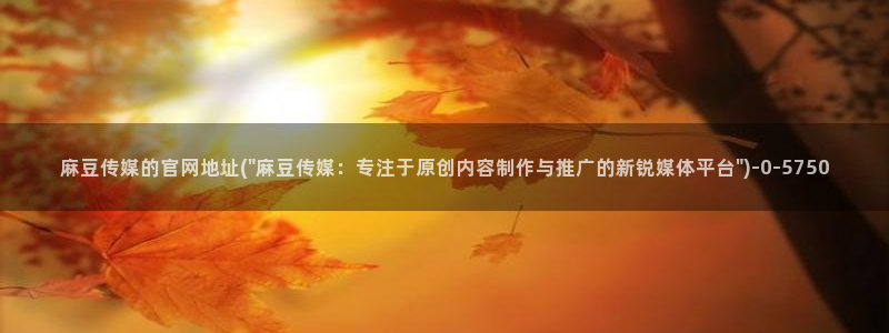 麻豆资料页