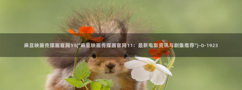 麻豆影视资讯