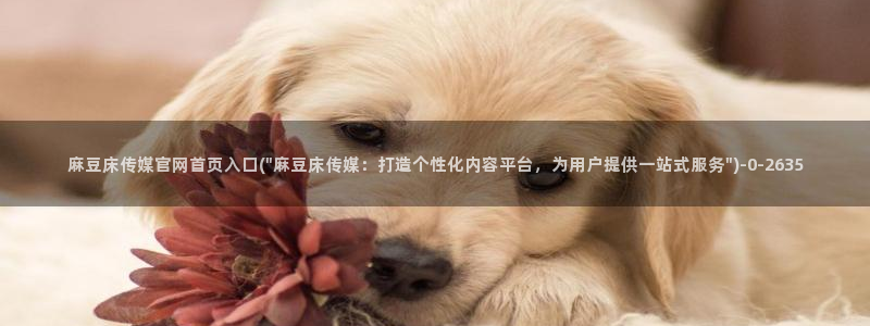 麻豆女演员