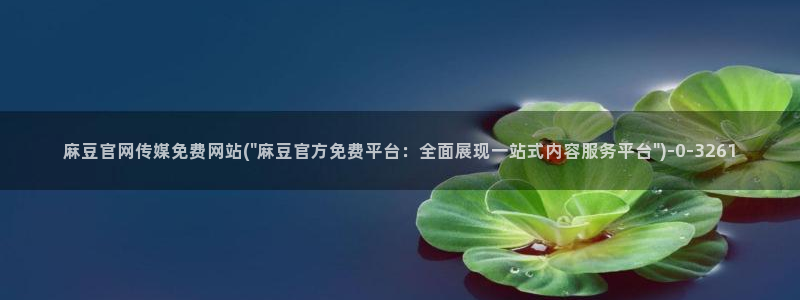 麻豆视频推荐