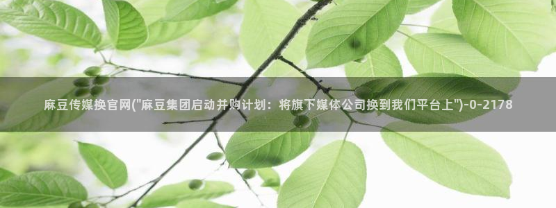 麻豆视频排行