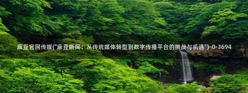 麻豆资讯描述