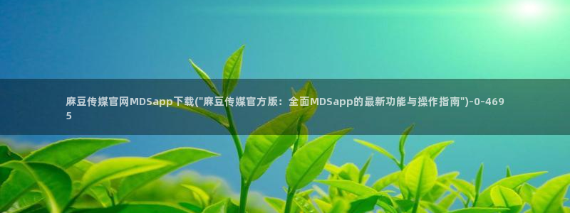 麻豆视频模板