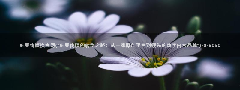 麻豆国产精选