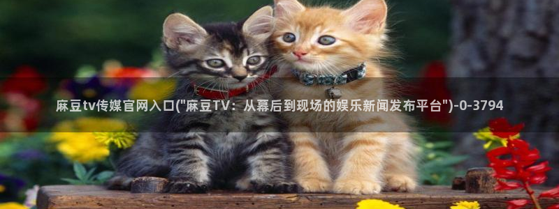 麻豆视频站关键词