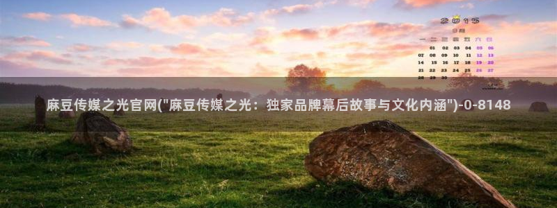 麻豆视频演员文案