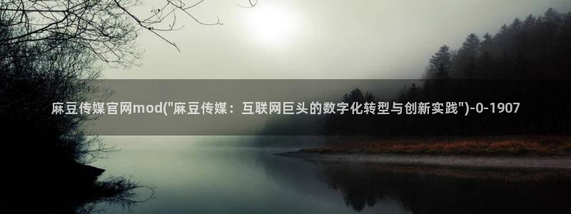 麻豆视频文章内容