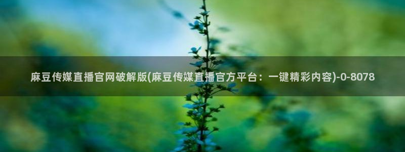 麻豆榜单描述