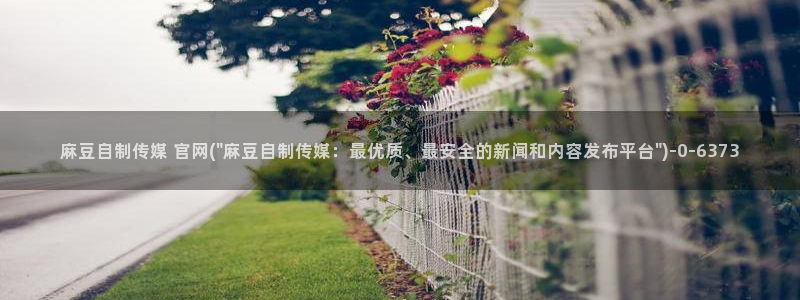 麻豆视频内容维护：麻豆自制传媒 官网(\