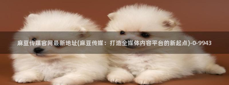 麻豆视频资料文案：麻豆传媒官网最新地址(麻豆传媒：打造全媒体内容平台的新