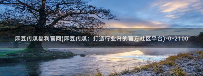 麻豆剧情解析