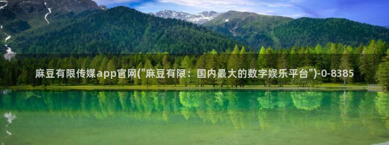 麻豆视频首页文案