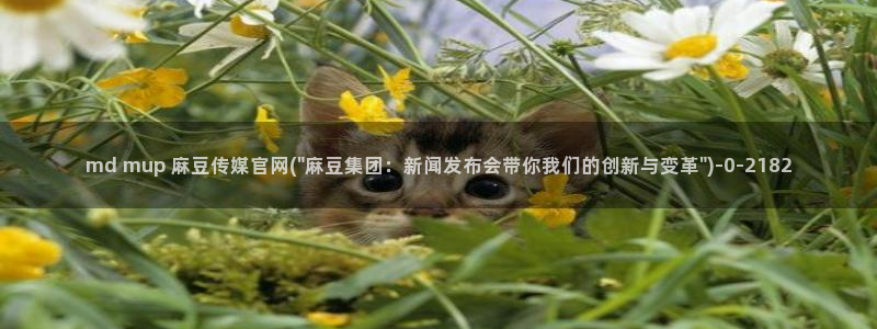 麻豆视频模板标签