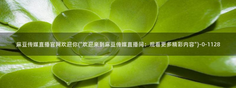 麻豆都市剧情